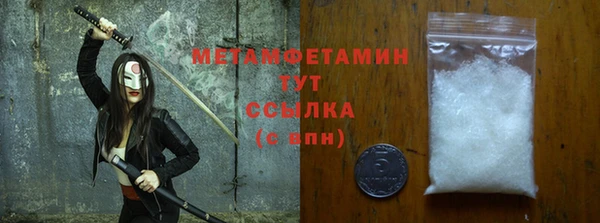 шишки Надым