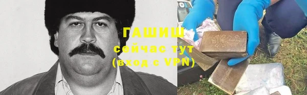 шишки Надым