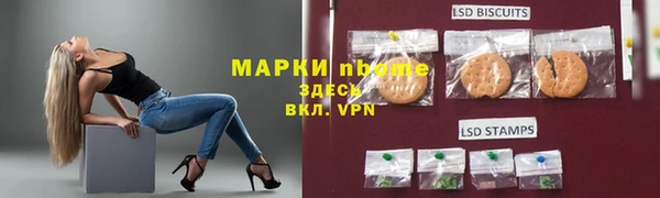 шишки Надым