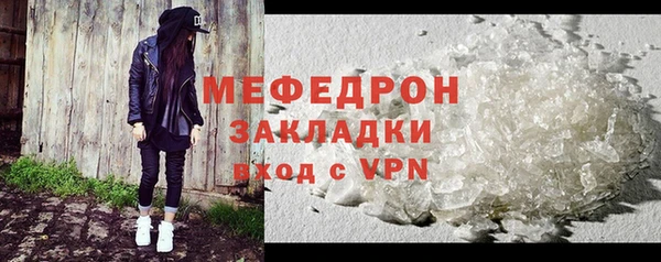 шишки Надым