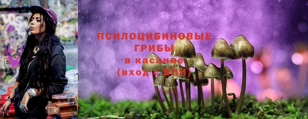 МДПВ Валдай
