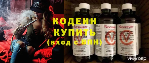 шишки Надым