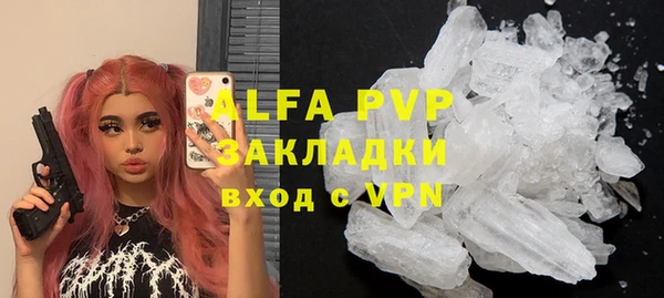 шишки Надым